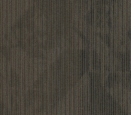 Carpet Tile Philadelphia Commercial - Declare - Coverage - Carpet Tile Box Shaw