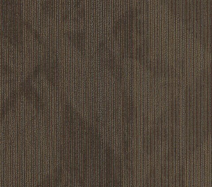 Carpet Tile Philadelphia Commercial - Declare - Reported - Carpet Tile Box Shaw