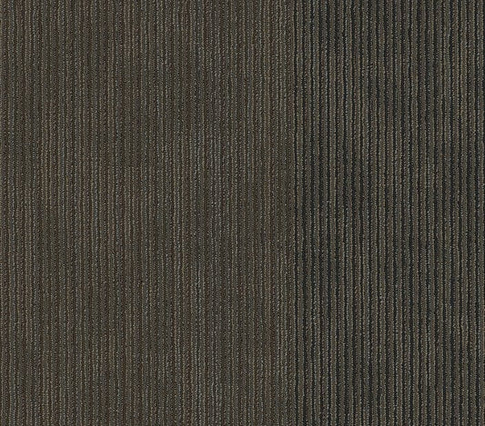 Carpet Tile Philadelphia Commercial - Disclose - Coverage - Carpet Tile Box Shaw