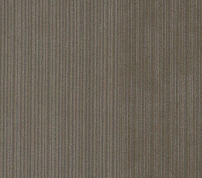 Carpet Tile Philadelphia Commercial - Disclose - Front-Page - Carpet Tile Box Shaw