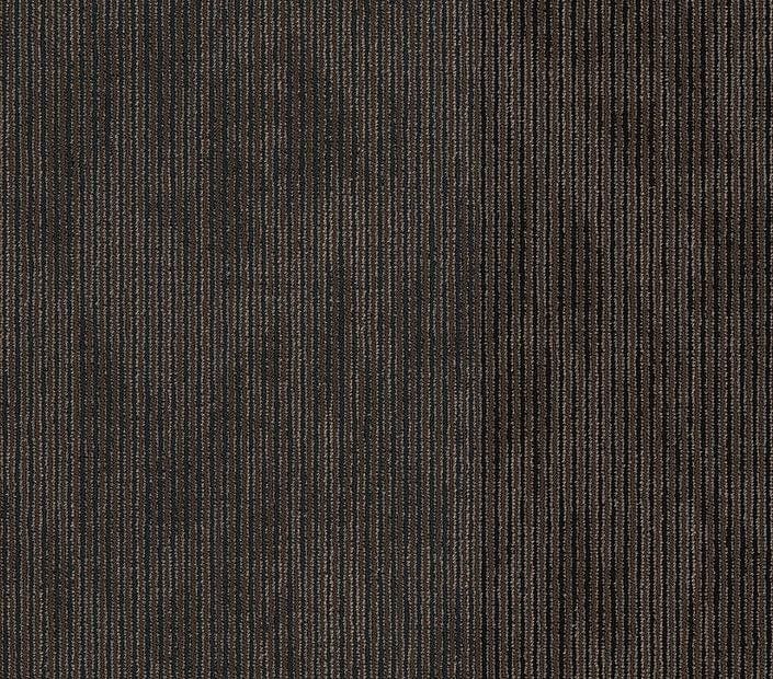 Carpet Tile Philadelphia Commercial - Disclose - Hard News - Carpet Tile Box Shaw