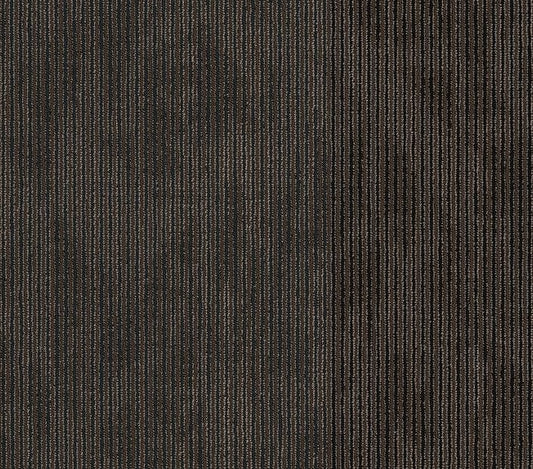 Carpet Tile Philadelphia Commercial - Disclose - Hard News - Carpet Tile Box Shaw