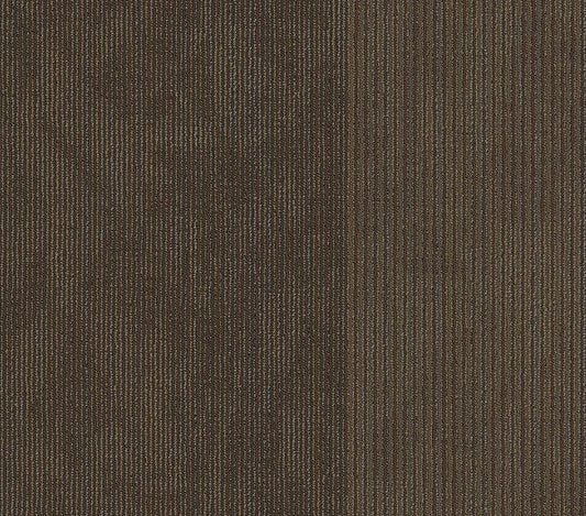 Carpet Tile Philadelphia Commercial - Disclose - Reported - Carpet Tile Box Shaw