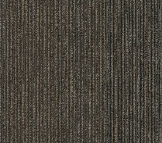 Carpet Tile Philadelphia Commercial - Document - Coverage - Carpet Tile Box Shaw