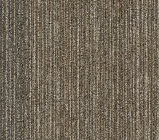 Carpet Tile Philadelphia Commercial - Document - Front-Page - Carpet Tile Box Shaw