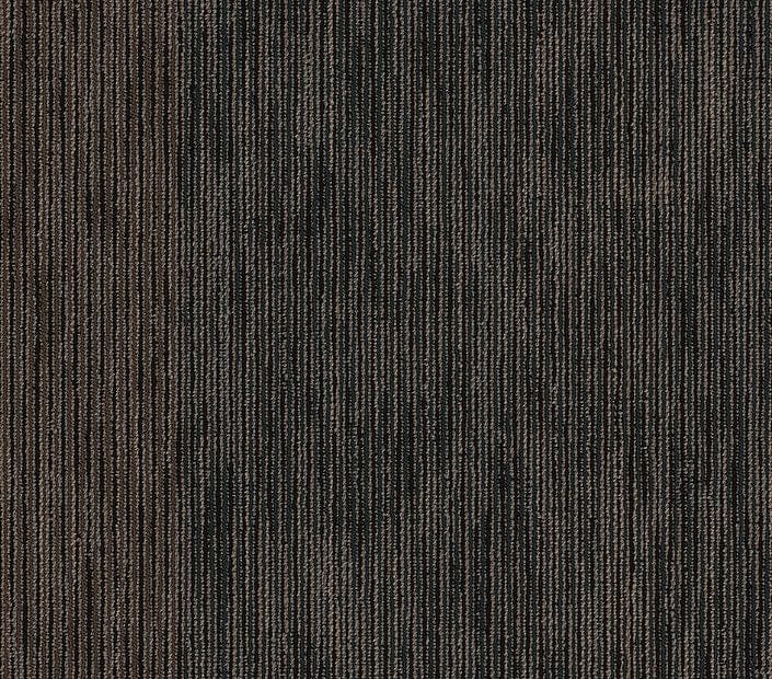 Carpet Tile Philadelphia Commercial - Document - Hard News - Carpet Tile Box Shaw