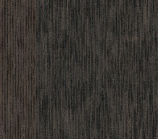 Carpet Tile Philadelphia Commercial - Document - Hard News - Carpet Tile Box Shaw