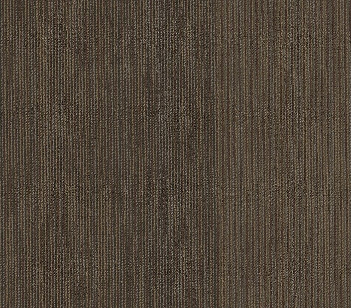 Carpet Tile Philadelphia Commercial - Document - Reported - Carpet Tile Box Shaw