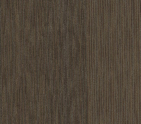 Carpet Tile Philadelphia Commercial - Document - Reported - Carpet Tile Box Shaw