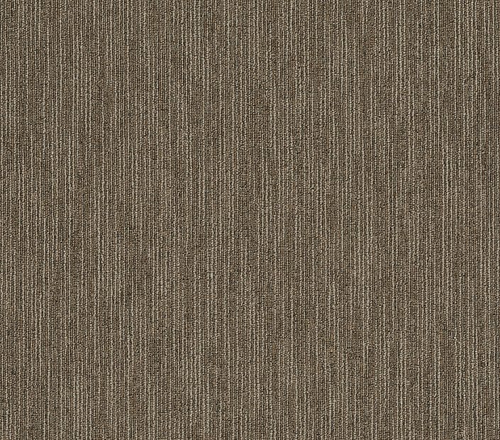 Carpet Tile Philadelphia Commercial - Dynamo - Scholarly - Carpet Tile Box Shaw