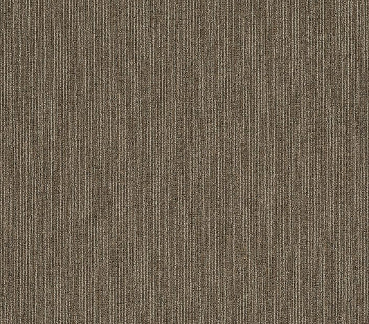 Carpet Tile Philadelphia Commercial - Dynamo - Scholarly - Carpet Tile Box Shaw