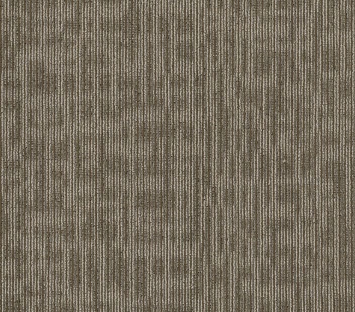 Carpet Tile Philadelphia Commercial - Genius - Scholarly - Carpet Tile Box Shaw