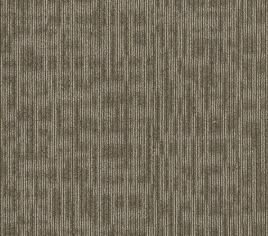 Carpet Tile Philadelphia Commercial - Genius - Scholarly - Carpet Tile Box Shaw