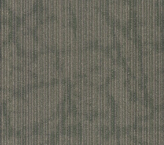 Carpet Tile Philadelphia Commercial - Hipster - Code - Carpet Tile Box Shaw