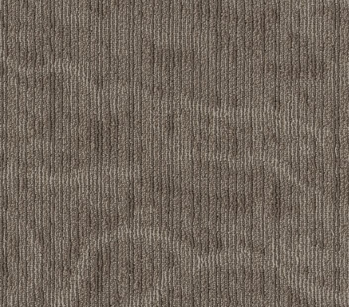 Carpet Tile Philadelphia Commercial - Inked - Sandalwood - Carpet Tile Box Shaw