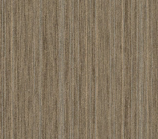 Carpet Tile Philadelphia Commercial - Intellect - Scholarly - Carpet Tile Box Shaw