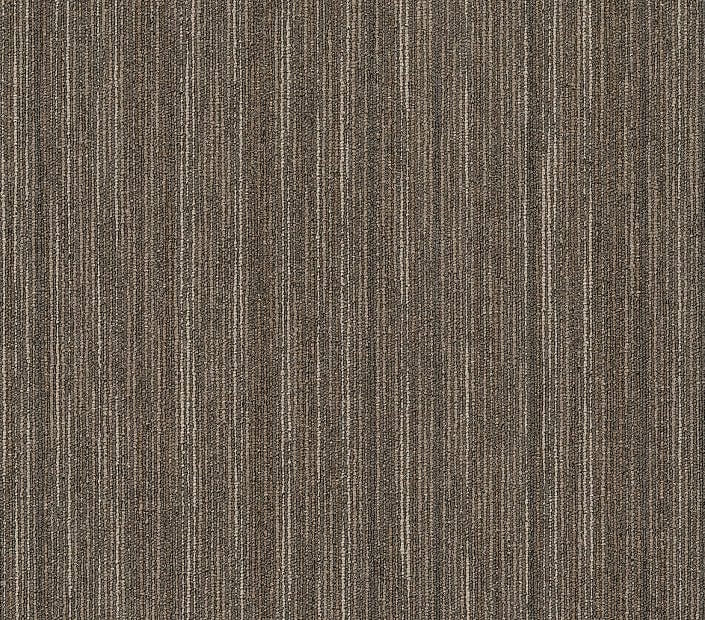 Carpet Tile Philadelphia Commercial - Intellect - Smarts - Carpet Tile Box Shaw