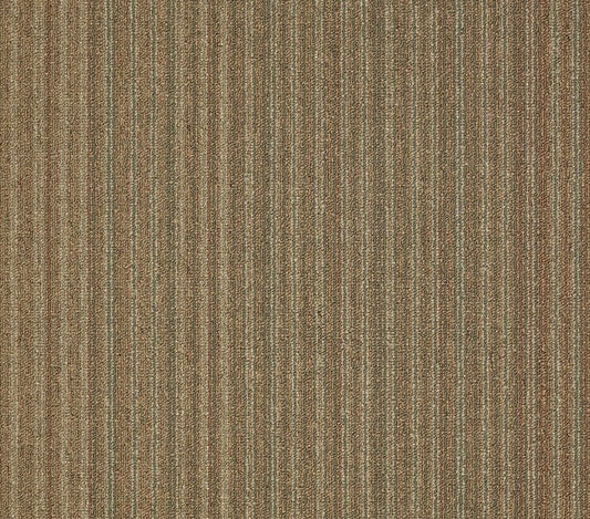 Carpet Tile Philadelphia Commercial - Lucky Break - Strike It Rich - Carpet Tile Box Shaw