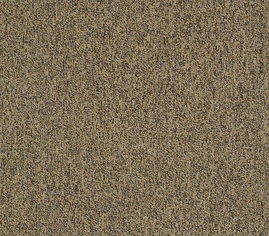 Carpet Tile Philadelphia Commercial - Multiplicity 24x24 - Abundance - Carpet Tile Box Shaw