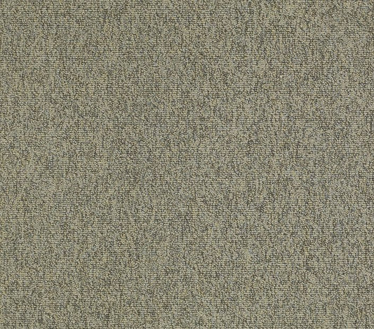 Carpet Tile Philadelphia Commercial - Multiplicity 24x24 - Batch - Carpet Tile Box Shaw