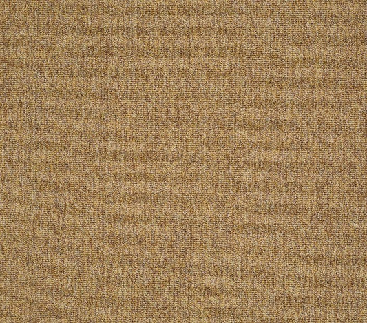 Carpet Tile Philadelphia Commercial - Multiplicity 24x24 - Expansive - Carpet Tile Box Shaw