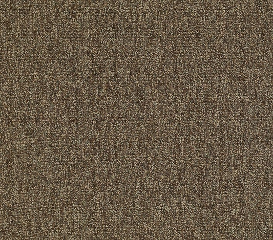 Carpet Tile Philadelphia Commercial - Multiplicity 24x24 - Exuberance - Carpet Tile Box Shaw