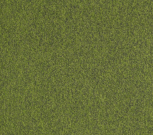 Carpet Tile Philadelphia Commercial - Multiplicity 24x24 - Exuberant - Carpet Tile Box Shaw