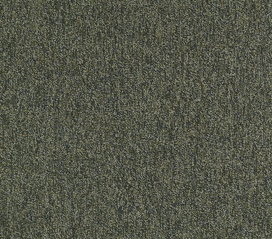 Carpet Tile Philadelphia Commercial - Multiplicity 24x24 - Heap - Carpet Tile Box Shaw