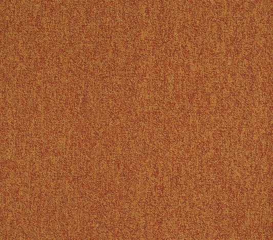 Carpet Tile Philadelphia Commercial - Multiplicity 24x24 - Mass - Carpet Tile Box Shaw