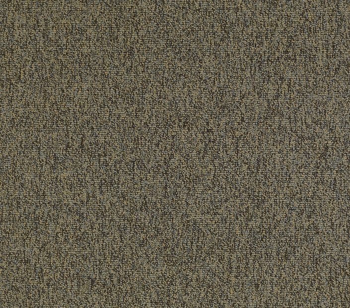 Carpet Tile Philadelphia Commercial - Multiplicity 24x24 - Oodles - Carpet Tile Box Shaw