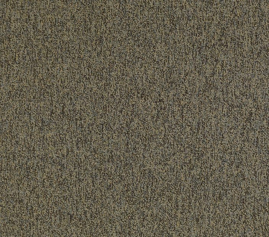 Carpet Tile Philadelphia Commercial - Multiplicity 24x24 - Oodles - Carpet Tile Box Shaw