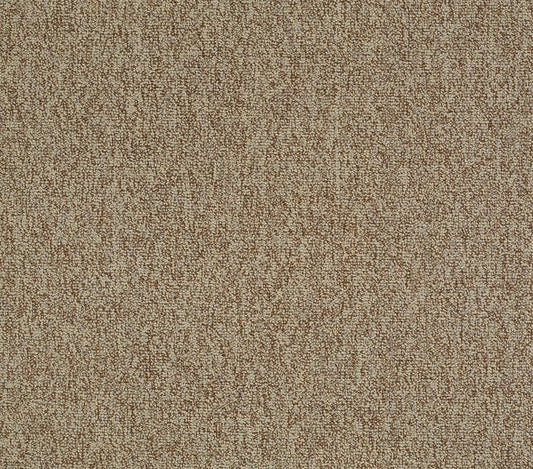 Carpet Tile Philadelphia Commercial - Multiplicity 24x24 - Plethora - Carpet Tile Box Shaw