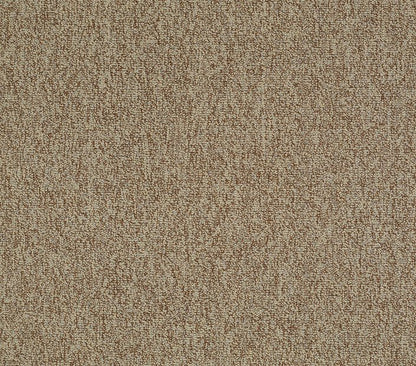 Carpet Tile Philadelphia Commercial - Multiplicity 24x24 - Plethora - Carpet Tile Shaw