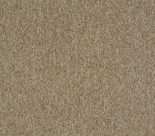 Carpet Tile Philadelphia Commercial - Multiplicity 24x24 - Plethora - Carpet Tile Shaw