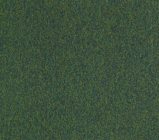 Carpet Tile Philadelphia Commercial - Multiplicity 24x24 - Profuse - Carpet Tile Box Shaw