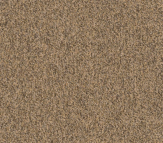 Carpet Tile Philadelphia Commercial - Multiplicty 18x36 - Abundance - Carpet Tile Box Shaw