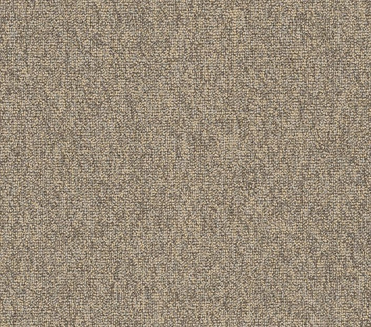 Carpet Tile Philadelphia Commercial - Multiplicty 18x36 - Batch - Carpet Tile Box Shaw