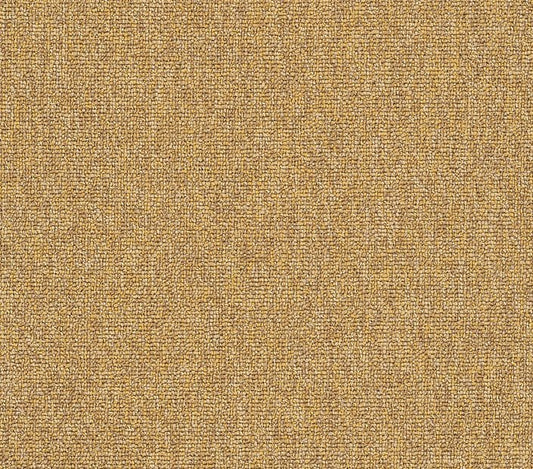 Carpet Tile Philadelphia Commercial - Multiplicty 18x36 - Expansive - Carpet Tile Box Shaw