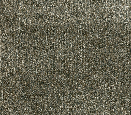 Carpet Tile Philadelphia Commercial - Multiplicty 18x36 - Heap - Carpet Tile Box Shaw