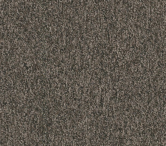 Carpet Tile Philadelphia Commercial - Multiplicty 18x36 - Volume - Carpet Tile Box Shaw