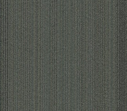 Carpet Tile Philadelphia Commercial - Practical - Astute - Carpet Tile Box Shaw