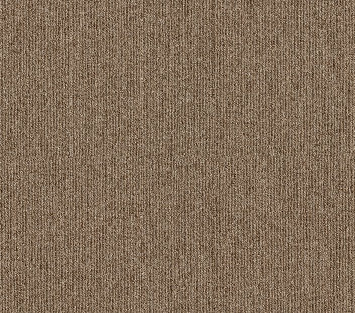 Carpet Tile Philadelphia Commercial - Profusion Tile - Ample - Carpet Tile Box Shaw