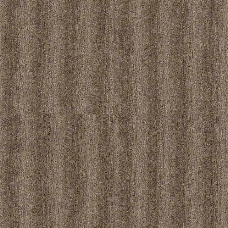 Carpet Tile Philadelphia Commercial - Profusion Tile - Excess - Carpet Tile Box Shaw