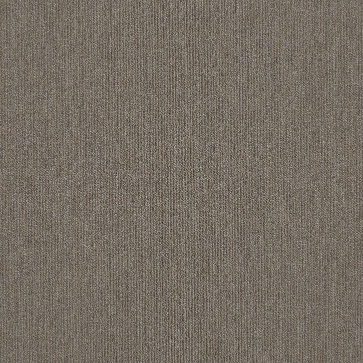 Carpet Tile Philadelphia Commercial - Profusion Tile - Masses - Carpet Tile Box Shaw