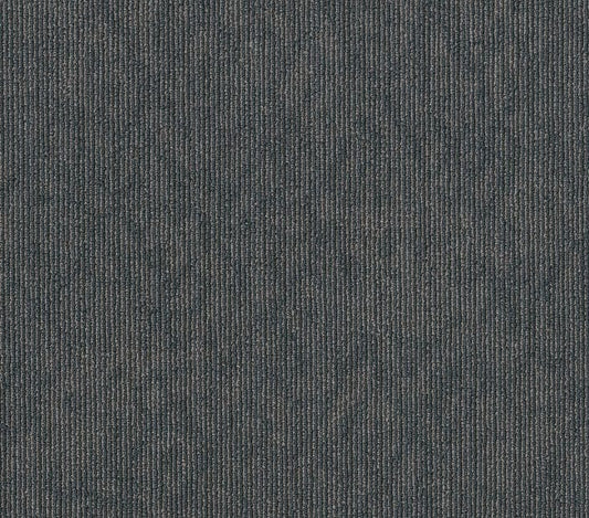 Carpet Tile Philadelphia Commercial - Rare Essence - Base - Carpet Tile Box Shaw