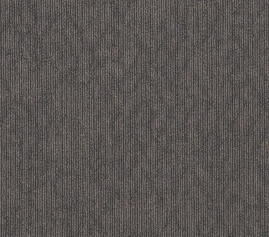Carpet Tile Philadelphia Commercial - Rare Essence - Footing - Carpet Tile Box Shaw