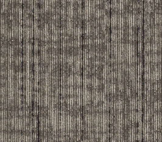 Carpet Tile Philadelphia Commercial - Rise Up - Champion - Carpet Tile Box Shaw