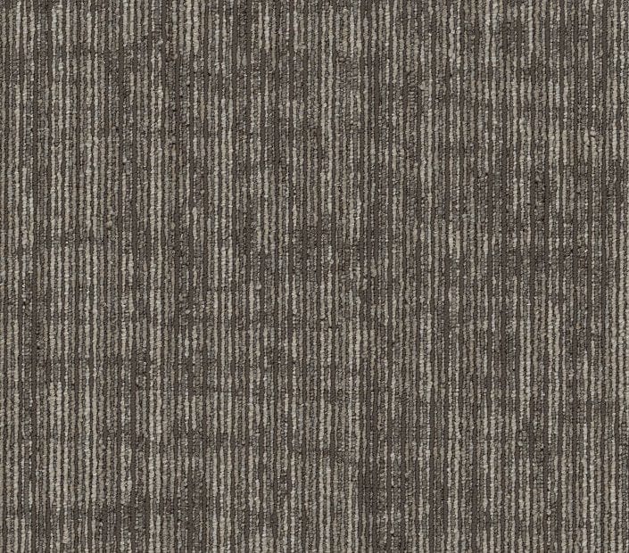 Carpet Tile Philadelphia Commercial - Rise Up - Empower - Carpet Tile Box Shaw