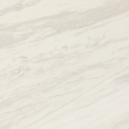 Floor Tile Daltile - Perpetuo - Timeless White Square 12x12 Matte - Floor Tile Daltile