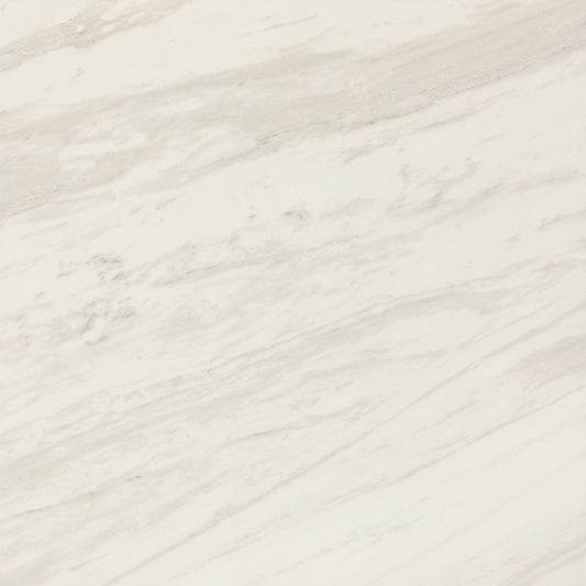 Floor Tile Daltile - Perpetuo - Timeless White Square 12x12 Matte - Floor Tile Daltile